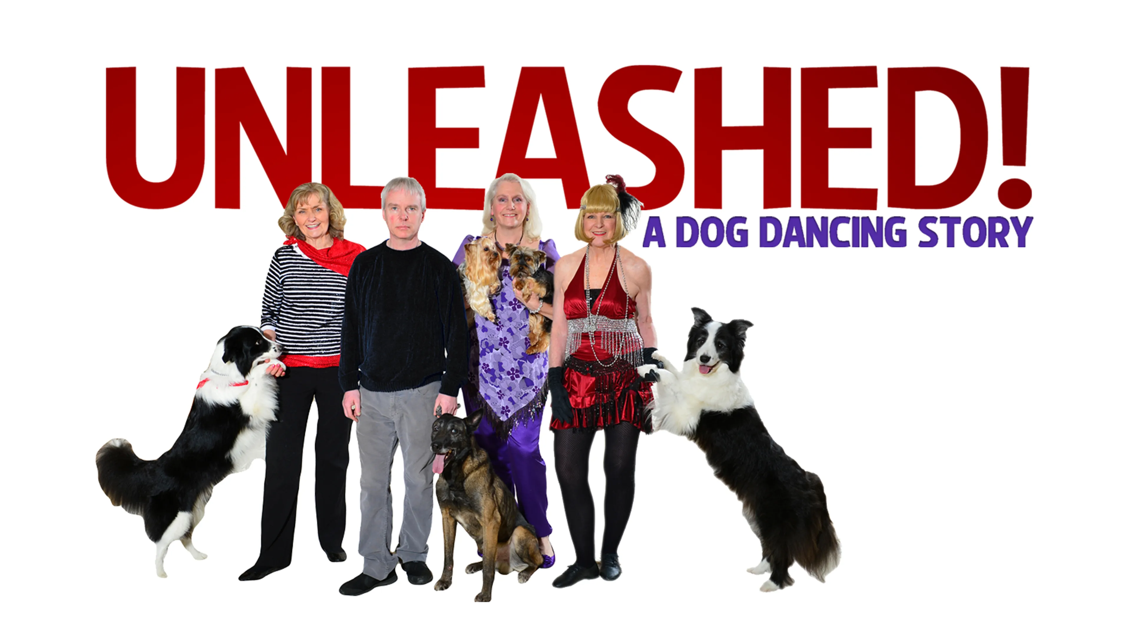 Unleashed! A Dog Dancing Story poster